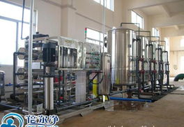 5t/h大型純水機 倍爾凈工程型生產線用純水設備，廠價直銷、專業咨詢一站式服務