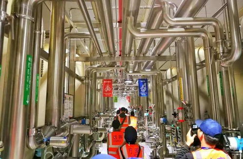 百威雪津 世界級智慧低碳工廠，黑科技護航啤酒誕生之旅與接待業務